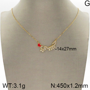 Stainless Steel Necklace  5N4001600vbpb-493