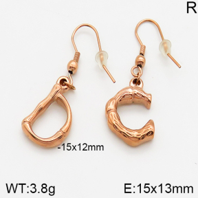Stainless Steel Earrings  5E2002516ablb-749