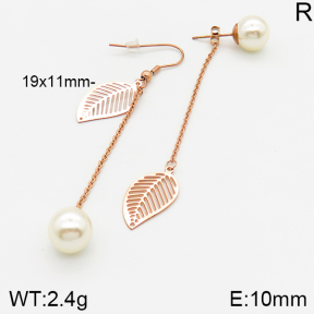 Stainless Steel Earrings  5E3001098vbmb-749