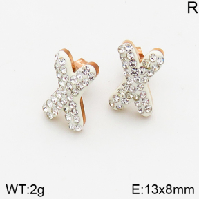 Stainless Steel Earrings  5E4002408vbnb-749