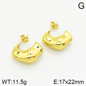 Stainless Steel Earrings  2E2002244bbmo-667