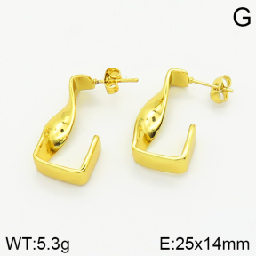Stainless Steel Earrings  2E2002250vbll-667