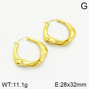 Stainless Steel Earrings  2E2002254bbmo-667