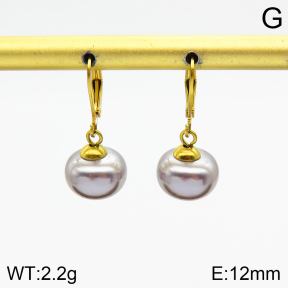 Stainless Steel Earrings  2E3001533vail-420