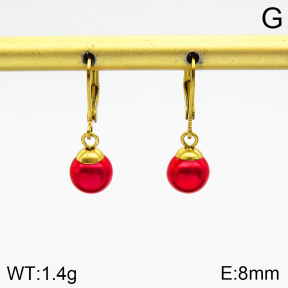 Stainless Steel Earrings  2E3001545vaia-420