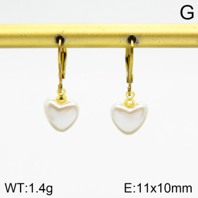 Stainless Steel Earrings  2E3001559vail-420