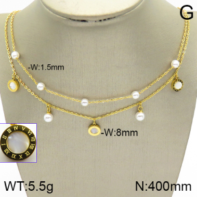 Stainless Steel Necklace  2N3001173vhha-669