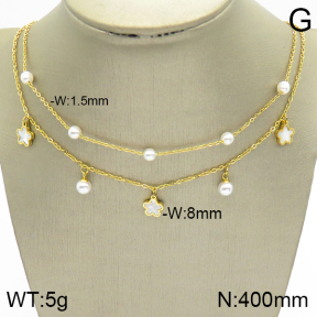 Stainless Steel Necklace  2N3001175vhha-669