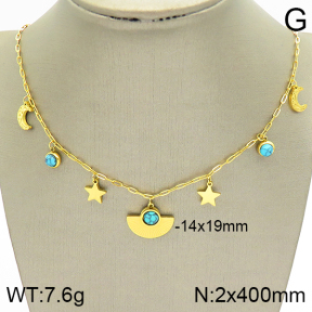 Stainless Steel Necklace  2N4001970vhha-669