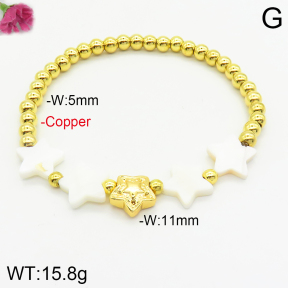 Fashion Copper Bracelet  F2B300491bhva-J148