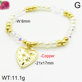 Fashion Copper Bracelet  F2B300494bhva-J148