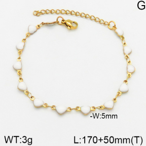 Stainless Steel Bracelet  5B3001333baka-368