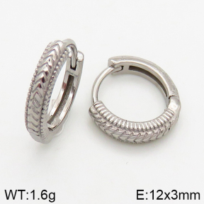 Stainless Steel Earrings  5E2002535bbov-241