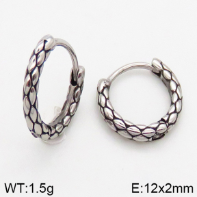 Stainless Steel Earrings  5E2002536bbov-241
