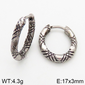 Stainless Steel Earrings  5E2002537bbov-241