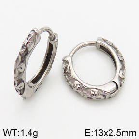 Stainless Steel Earrings  5E2002539bbov-241
