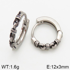 Stainless Steel Earrings  5E2002540bbov-241