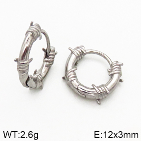 Stainless Steel Earrings  5E2002541bbov-241