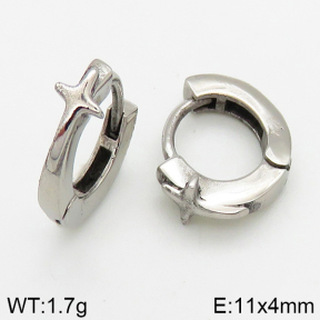 Stainless Steel Earrings  5E2002542bbov-241