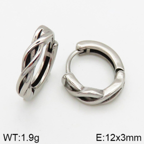 Stainless Steel Earrings  5E2002543bbov-241