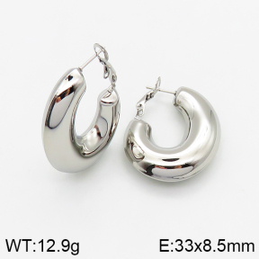 Stainless Steel Earrings  5E2002570bhbl-649