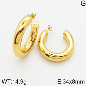 Stainless Steel Earrings  5E2002573bhva-649