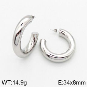 Stainless Steel Earrings  5E2002574vbpb-649