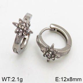 Stainless Steel Earrings  5E4002424vbpb-241