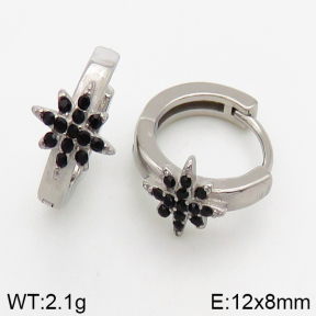 Stainless Steel Earrings  5E4002425vbpb-241