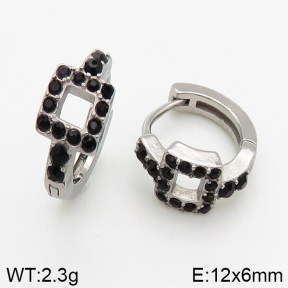 Stainless Steel Earrings  5E4002426vbpb-241