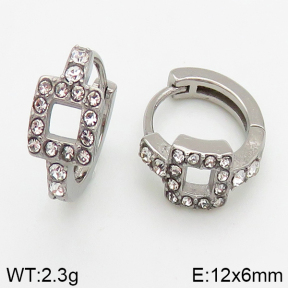 Stainless Steel Earrings  5E4002427vbpb-241