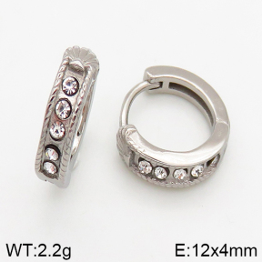 Stainless Steel Earrings  5E4002428vbpb-241