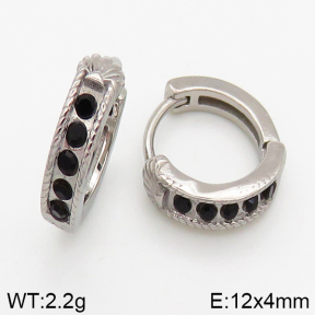Stainless Steel Earrings  5E4002429vbpb-241