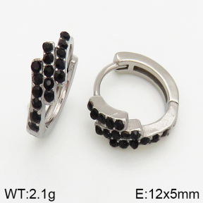 Stainless Steel Earrings  5E4002430vbpb-241