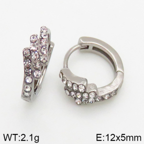 Stainless Steel Earrings  5E4002431vbpb-241