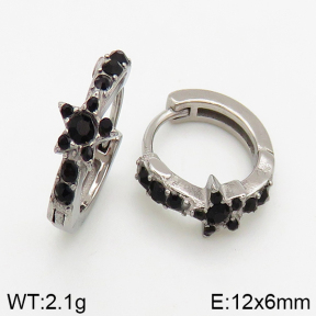 Stainless Steel Earrings  5E4002432vbpb-241