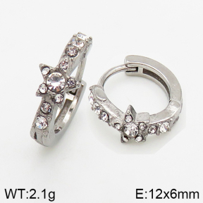 Stainless Steel Earrings  5E4002433vbpb-241