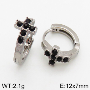 Stainless Steel Earrings  5E4002434vbpb-241