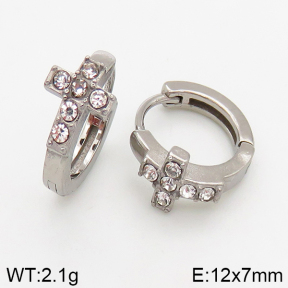 Stainless Steel Earrings  5E4002435vbpb-241