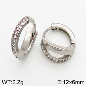 Stainless Steel Earrings  5E4002436vbpb-241