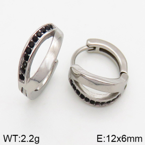 Stainless Steel Earrings  5E4002437vbpb-241