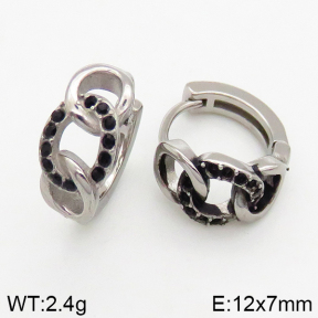Stainless Steel Earrings  5E4002438vbpb-241
