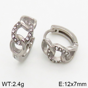 Stainless Steel Earrings  5E4002439vbpb-241
