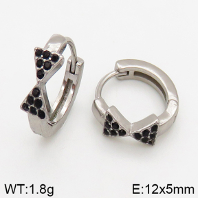 Stainless Steel Earrings  5E4002440vbpb-241