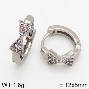Stainless Steel Earrings  5E4002441vbpb-241