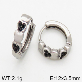 Stainless Steel Earrings  5E4002442vbpb-241
