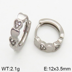 Stainless Steel Earrings  5E4002443vbpb-241