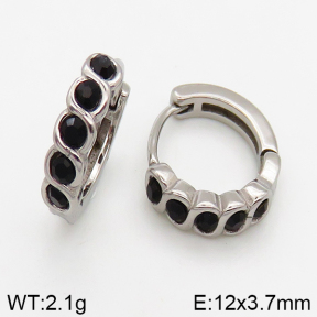 Stainless Steel Earrings  5E4002444vbpb-241