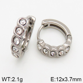 Stainless Steel Earrings  5E4002445vbpb-241
