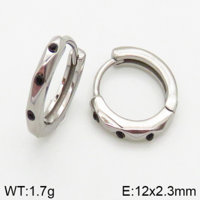 Stainless Steel Earrings  5E4002446vbpb-241